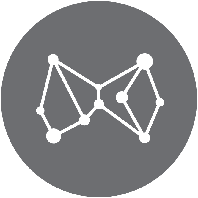 Metrika Data Network Symbol